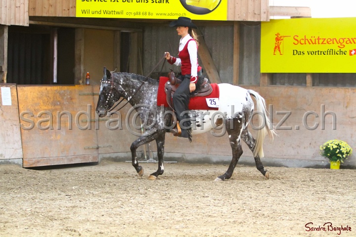 31-ApHC OWP_022.jpg